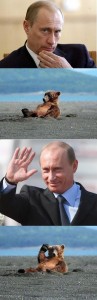 1274203465044